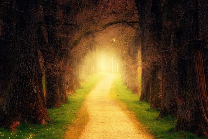 Magical Gardens